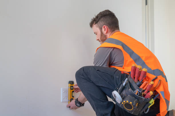 Best Electric Panel Repair  in Temple Terrace, FL