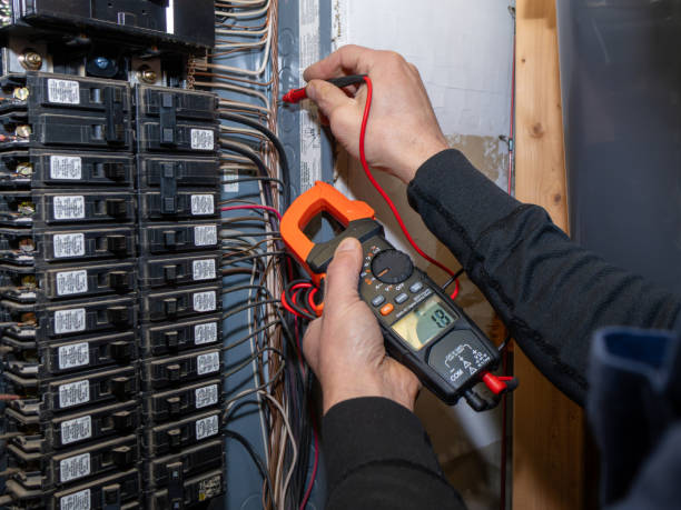 Best Local Electrician Companies  in Temple Terrace, FL